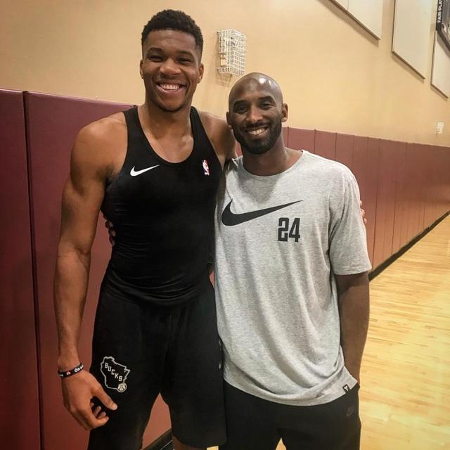 日本以近年 日本以近年