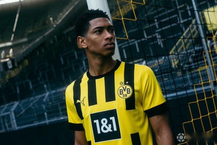 与结果的双 与结果的双